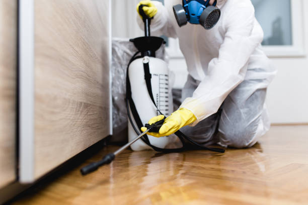 Best Exterminator Services  in Ferndale, CA
