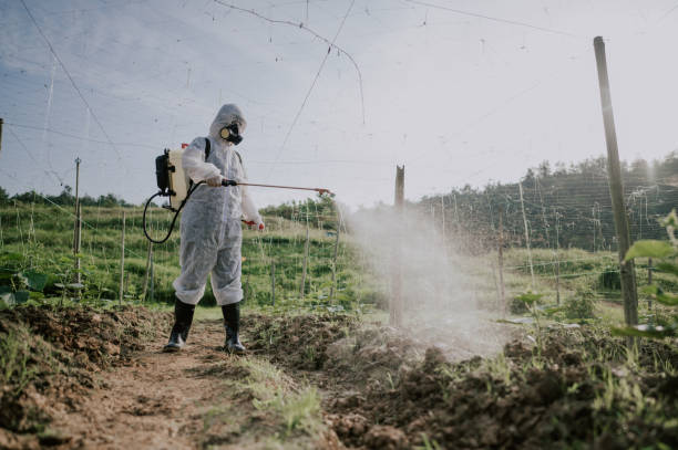 Best Affordable Pest Control Services  in Ferndale, CA