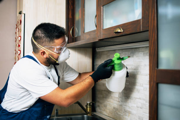Best Pest Removal Services  in Ferndale, CA