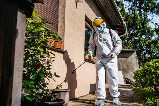 Best Wasp Removal Services  in Ferndale, CA