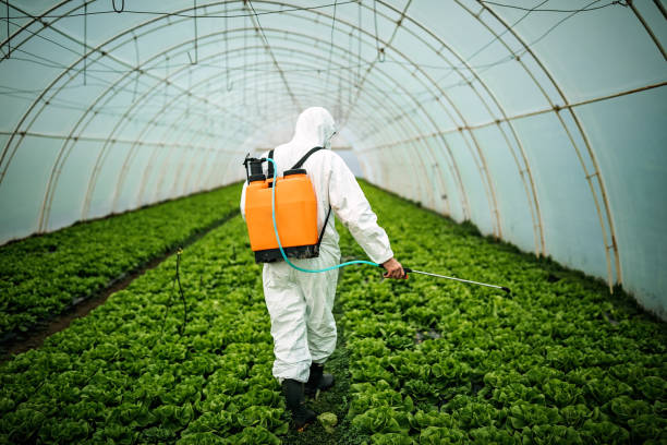 Best Emergency Pest Control  in Ferndale, CA
