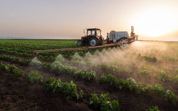Best Pest Control Cost  in Ferndale, CA