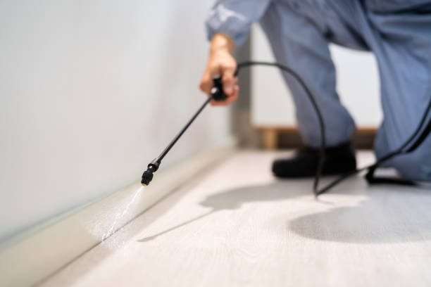 Best Best Pest Control Companies  in Ferndale, CA