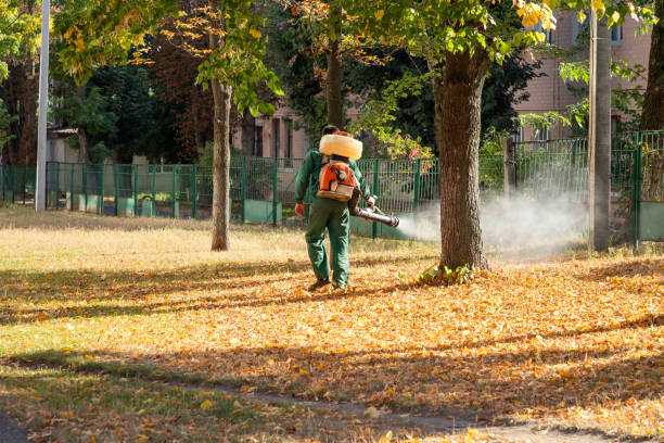 Bird Control in Ferndale, CA
