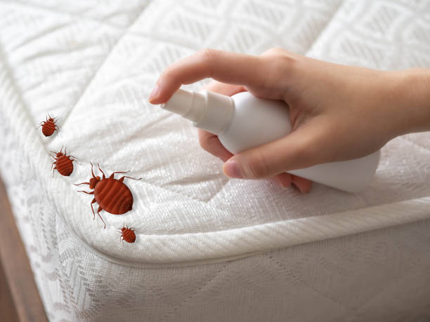 Best Best Pest Control Companies  in Ferndale, CA