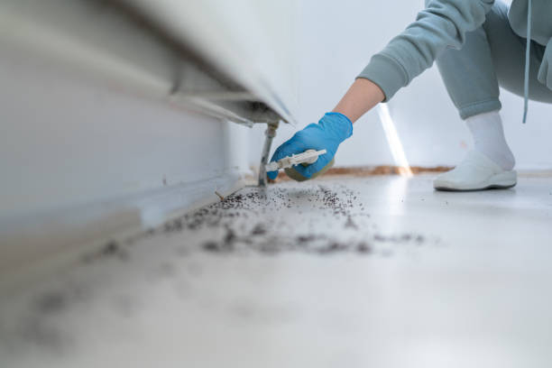 Professional Pest Control in Ferndale, CA